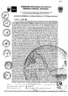 Vista preliminar de documento RGGR0328-2024