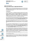 Vista preliminar de documento RESOLUCION DIRECTORAL-000204-2024-DE-HSJ