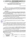 Vista preliminar de documento RESOLUCION N° 0164-2024-UNHEVAL-URHJ