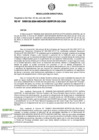 Vista preliminar de documento RD-000132-2024-GG-OGA