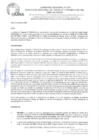 Vista preliminar de documento RESOLUCION DIRECTORAL Nº 012-2024-GRP-DRTPE-DIT