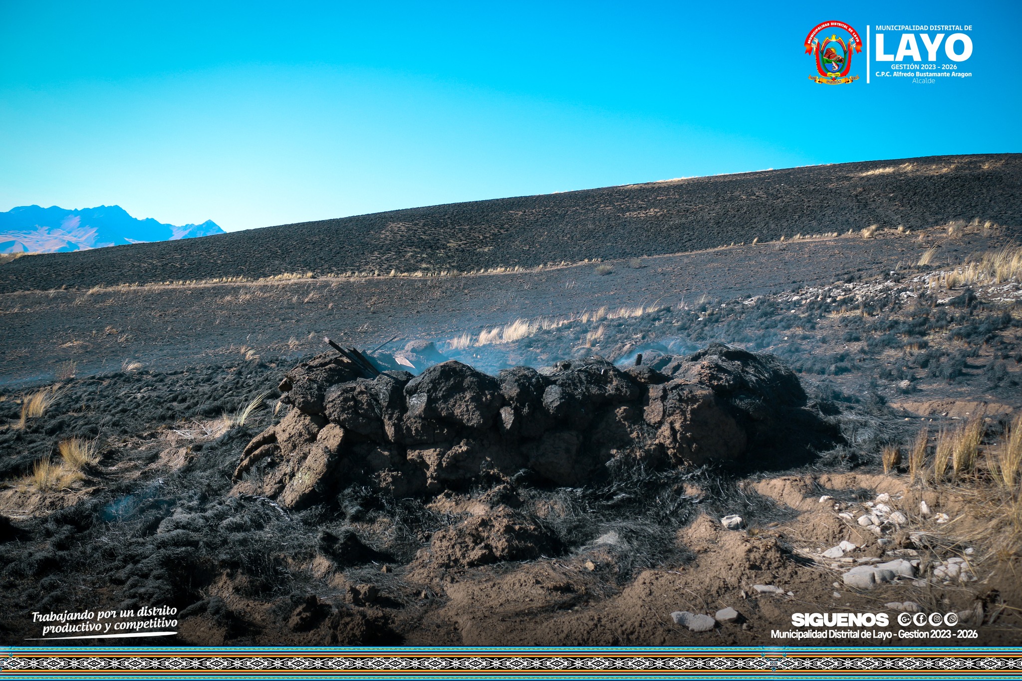 imagen4