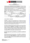 Vista preliminar de documento Formato N° 6