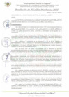 Vista preliminar de documento RA_196_2024_MDI