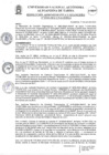 Vista preliminar de documento RAF N° 0102-2024.