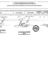 Vista preliminar de documento Indicador anual 2009