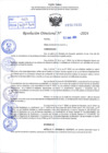 Vista preliminar de documento R.D 0933-2024