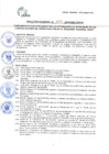Vista preliminar de documento DIRECTIVA_005-GR