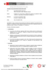 Vista preliminar de documento RD_199_2024_MINEM_DGAAM
