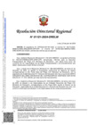Vista preliminar de documento RDR 1101-2024-DRELM-I