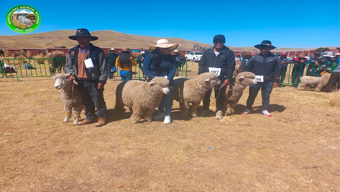 VI Feria Comunal Agropecuaria, Agroindustrial y Qaswa Moro Alccasana 2024