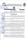 Vista preliminar de documento R.D 0895-2024