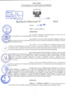 Vista preliminar de documento R.D 0890-2024