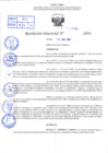 Vista preliminar de documento R.D 0889-2024