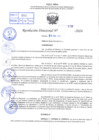 Vista preliminar de documento R.D 0878-2024