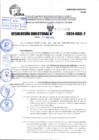 Vista preliminar de documento R.D 0876-2024
