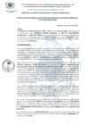 Vista preliminar de documento RGSPGA_133_2024_MDI