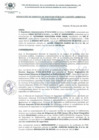 Vista preliminar de documento RGSPGA_130_2024_MDI