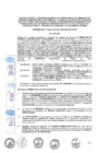 Vista preliminar de documento CONVENIO NE N° 1082-2102-2023-148-PUN-VMVU-PNVR