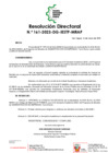 Vista preliminar de documento R.D. N° 161-DG-2023[R]