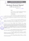 Vista preliminar de documento RDR 249-2024001