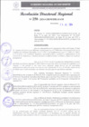 Vista preliminar de documento RDR 250-2024001