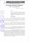 Vista preliminar de documento RDR 252-2024001