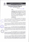 Vista preliminar de documento RDR 255-2024001