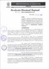 Vista preliminar de documento RDR 257-2024001