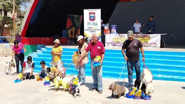 Desfile de mascotas 