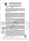Vista preliminar de documento RGR0312-2024-GRI