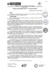 Vista preliminar de documento rd167-2024