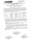 Vista preliminar de documento ACTA DE DESIERTO