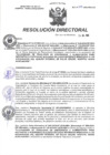 Vista preliminar de documento R.D N° 229-2024-HMA-DG