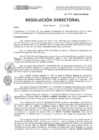 Vista preliminar de documento RD-207-2024-DE-HEVES