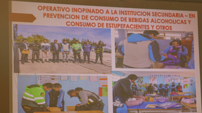 Segunda Consulta Pública de Seguridad Ciudadana 2024