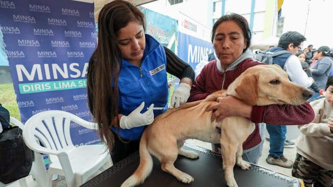 Foto Más de 3 millones de canes vacunados tras el desarrollo de la campaña antirrábica canina “VanCan”