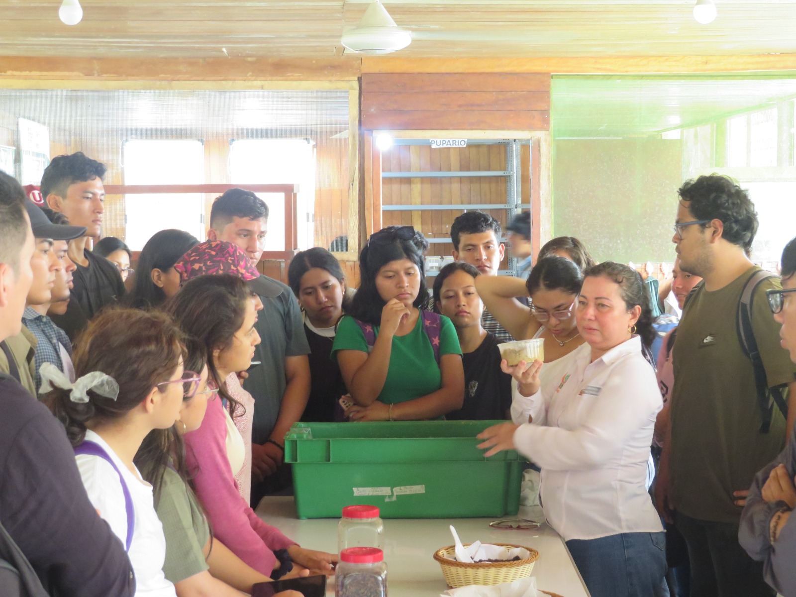 capacitacion mosca soldado IIAP