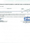 Vista preliminar de documento Anexo N° 6 - Aprobación de Modificaciones al Cuadro Multianual de Necesidades N° 00000321