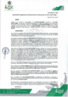 Vista preliminar de documento Resolución Sub Gerencial N° 0085-2024-SGAYF-MDM