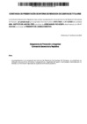 Vista preliminar de documento P-16 Constancia presentación Informe Rendición de Cuentas