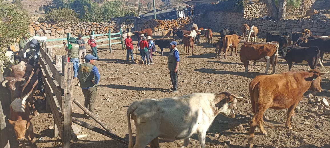 Inició jornada sanitaria para mitigar los efectos del cambio climático 