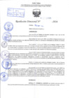 Vista preliminar de documento R.D 0873-2024