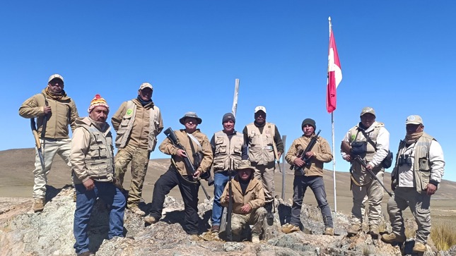 GORE Ayacucho promueve el manejo sostenible de vicuñas en 9 provincias
