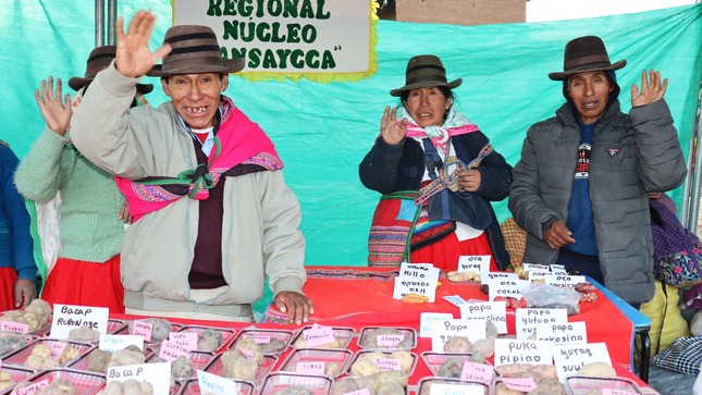 Vuelve feria agropecuaria que promoverá el desarrollo económico de Coracora