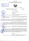 Vista preliminar de documento R.D 0868-2024