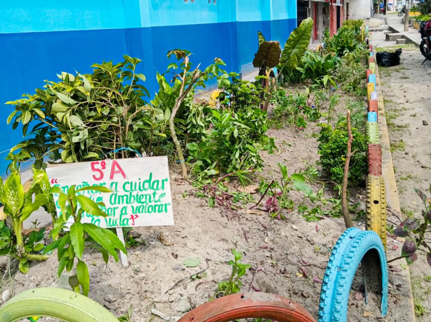 Limpieza y poda de los jardines que bordean la Institución Educativa Nº 60026 Ruy Guzmán Hidalgo