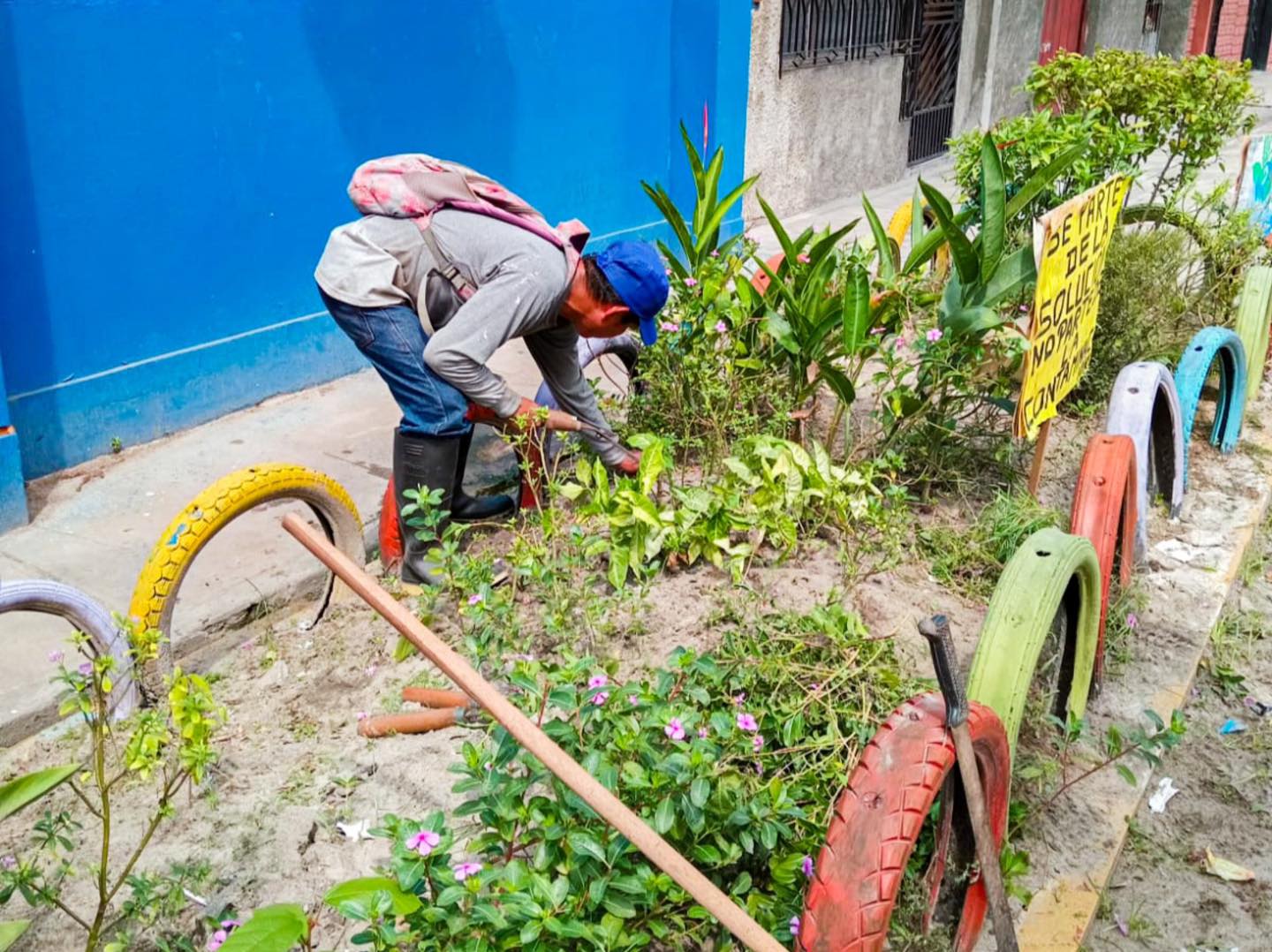 Limpieza y poda de los jardines que bordean la Institución Educativa Nº 60026 Ruy Guzmán Hidalgo
