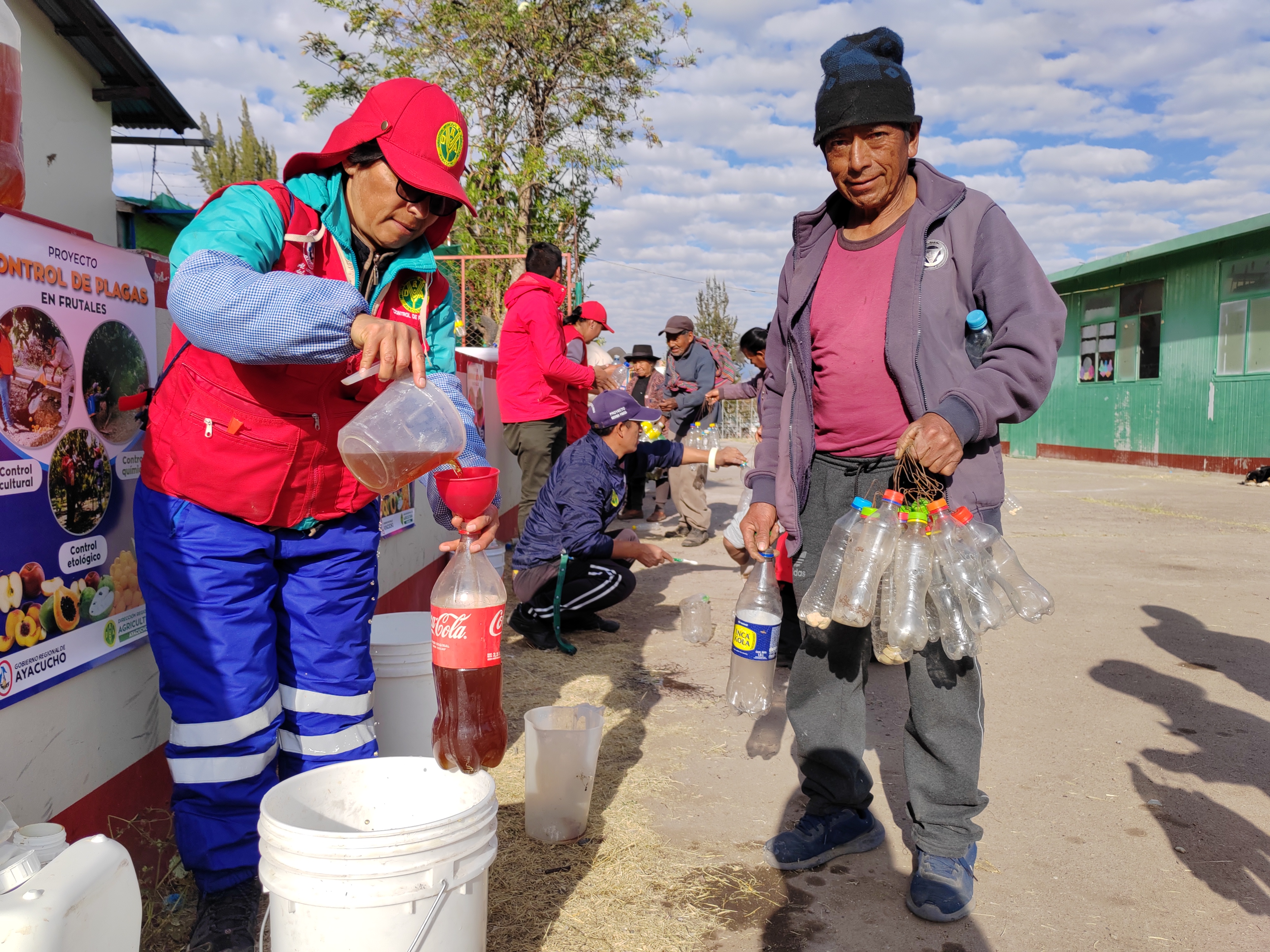 DRA Ayacucho instaló 5 mil trampas caseras en Maynay para combatir la mosca de la fruta