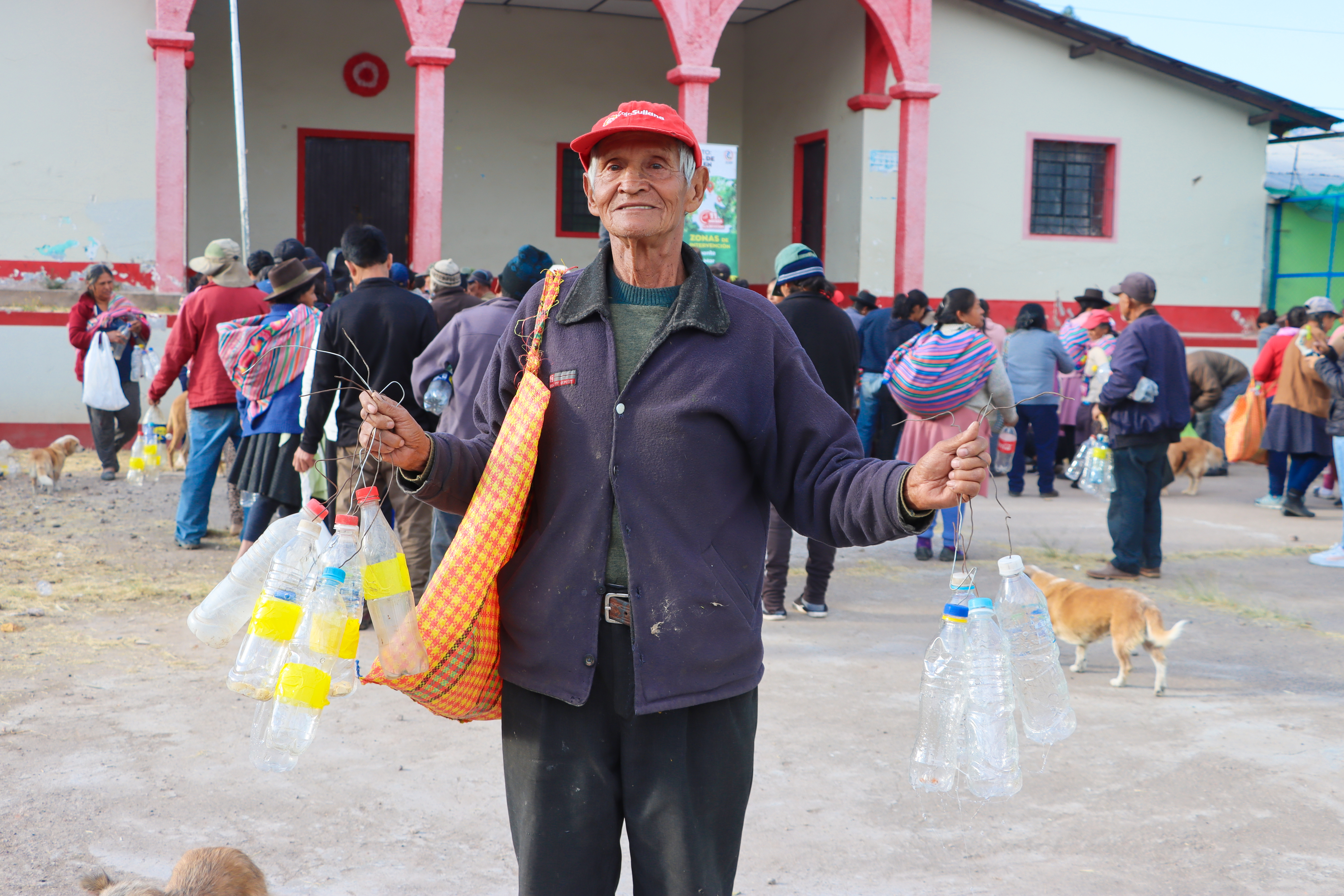 DRA Ayacucho instaló 5 mil trampas caseras en Maynay para combatir la mosca de la fruta